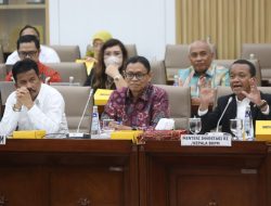 Update Progress Investasi Rempang, Kepala BP Batam Hadiri RDP Komisi VI DPR RI