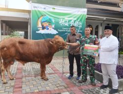 PGN Bagikan 382 Hewan Qurban di Idul Adha 1445 H Sekitar Wilayah Operasional