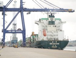 Aktivitas Pelabuhan Tumbuh Menguat, BP Batam Catat Pertumbuhan Peti Kemas 15 Persen