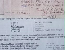 Masalah Lahan di Toapaya: Ahli Waris Pertanyakan Proses Jual-Beli Tanah yang Dibeli Pejabat Kemenag Kepri