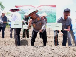 Polda Kepri Tanam Jagung Serentak, Komit Perkuat Ketahanan Pangan Nasional