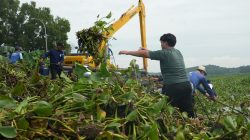 Jaga Sumber Air Bersih Batam (7)
