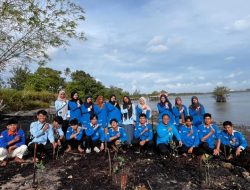 STIE Pembangunan Tanjungpinang Tanam 200 Bibit Mangrove di Dompak dalam Rangka Penutup Hibah Nasional