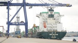 Volume Peti Kemas Batam 187 ribu TEUs, Tumbuh 12 Persen 