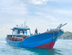 Ditpolairud Polda Kepri Gagalkan Penyeludupan 12.000 Batang Kayu Bakau ke Singapura