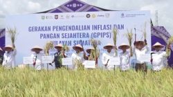 Inflasi Kepri Diatas Nasional, Capai Angka 3,92 Persen Mei 2026