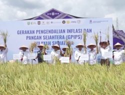 Inflasi Kepri Diatas Nasional, Capai Angka 3,92 Persen Mei 2026