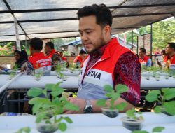 Pertamina Patra Niaga Perkuat Inovasi Pengelolaan Sumber Daya Laut dan Jaga Ketahanan Pangan di Kampung Tua Terih